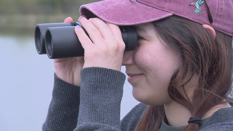 Steller Secondary students are studying birds during a school "intensive"