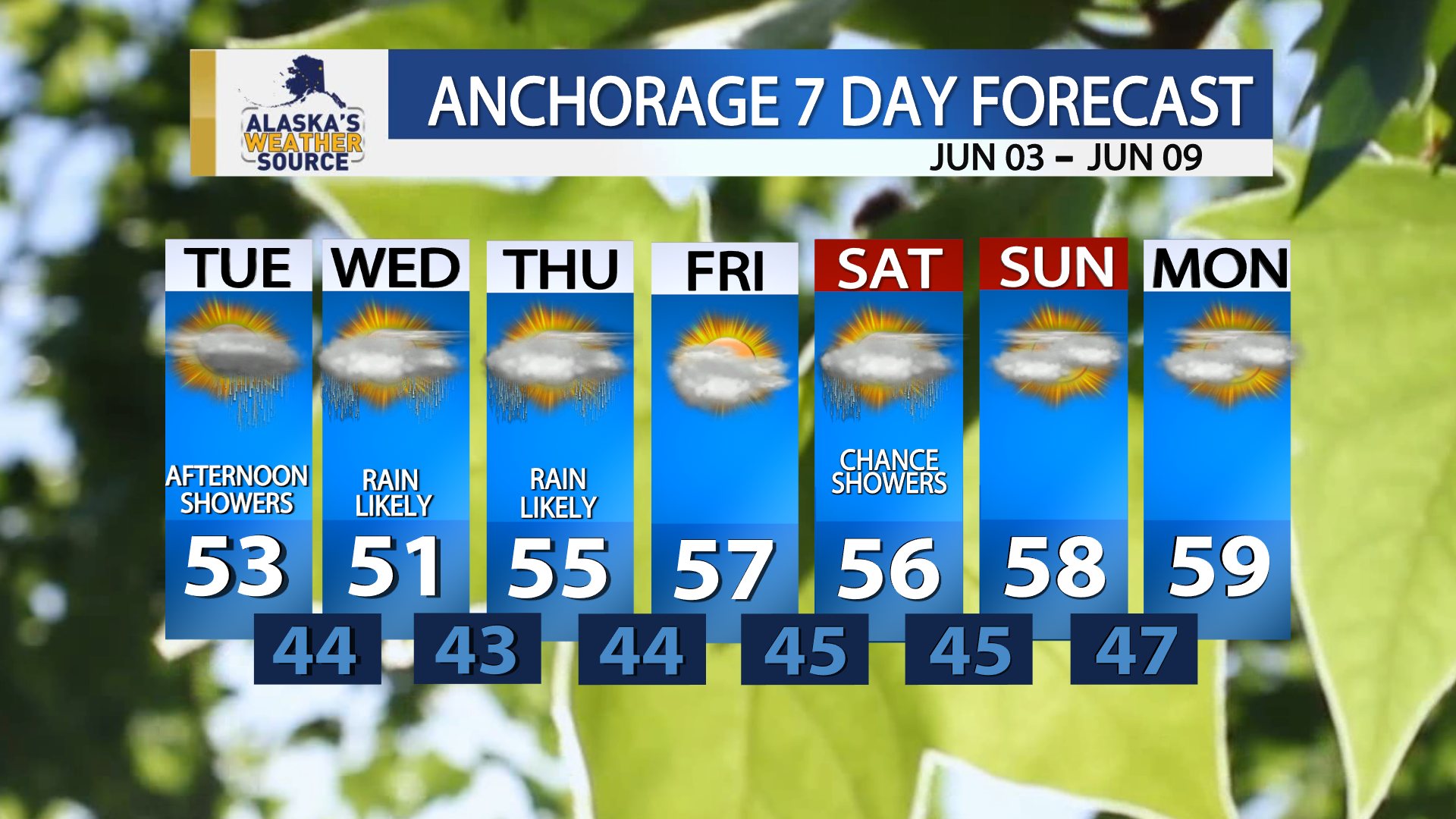 7 Day Forecast